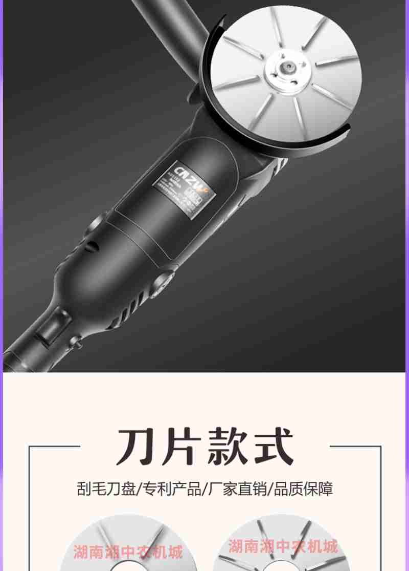 南翔老街(央广网记者 林馥榆 摄)