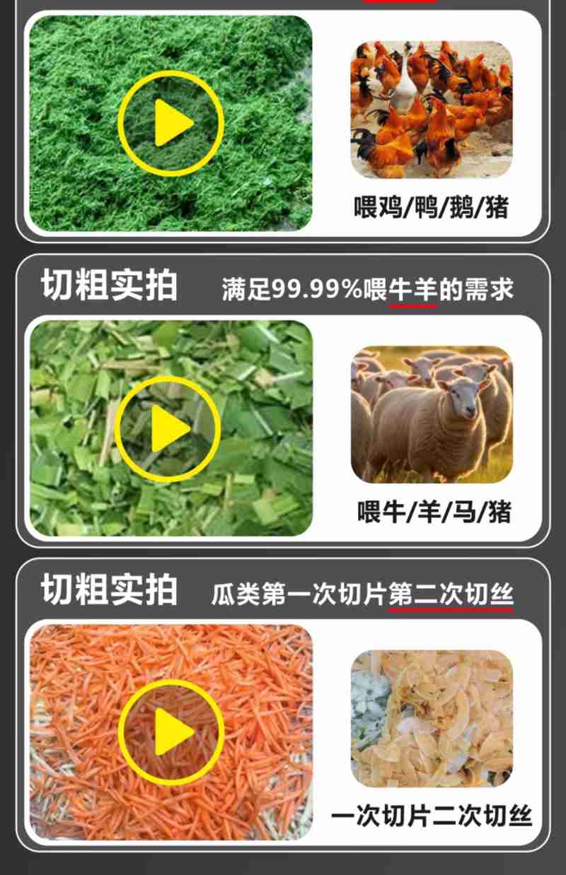 内蒙古射击运动员罗爽(右)积极备赛。